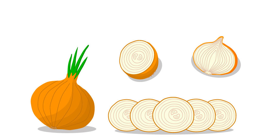 Illustration of onions showing the layers.