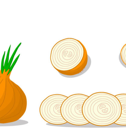 Illustration of onions showing the layers.